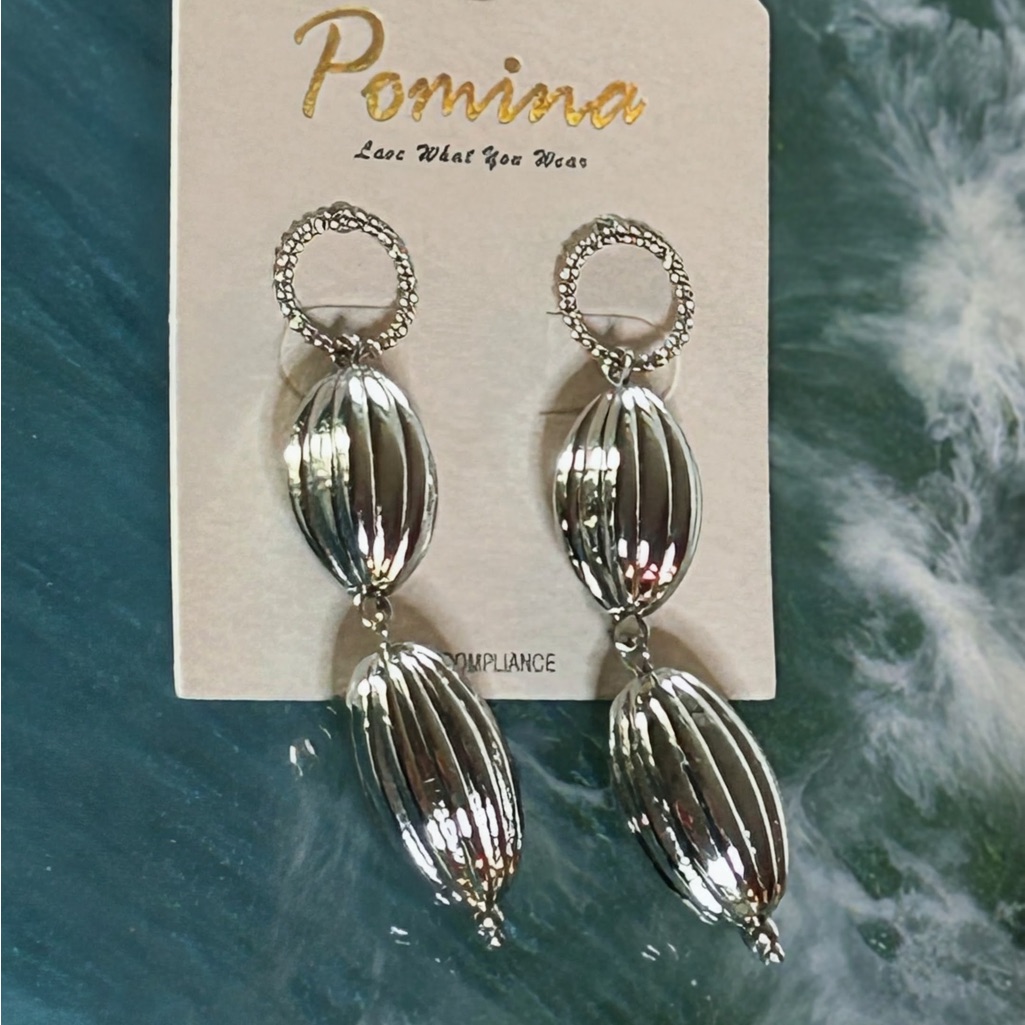 Pomina Silver Drop Earrings 6$